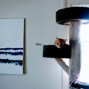 Fundraising Page: Grantley Smith